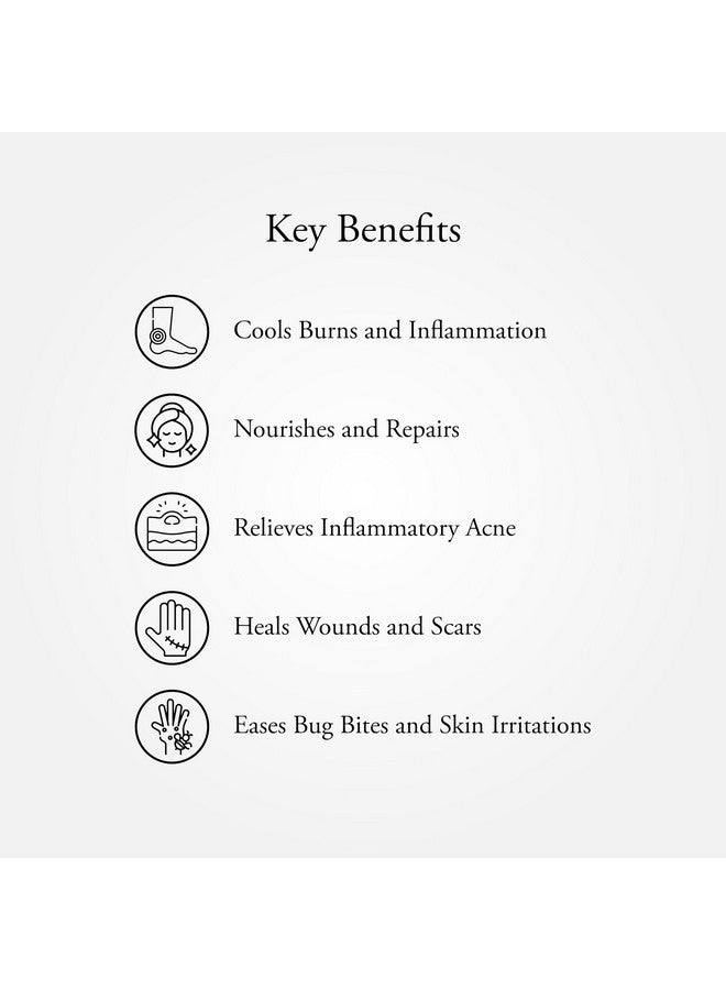 SITARAM سيتارام شاثادهاوثا غريثام 15 جرام | شاتا داوتا غريتا | علاج فعال للحروق والبثور، الجلد الجاف والمتشقق، لدغات الحشرات وعضاتها - Image 2