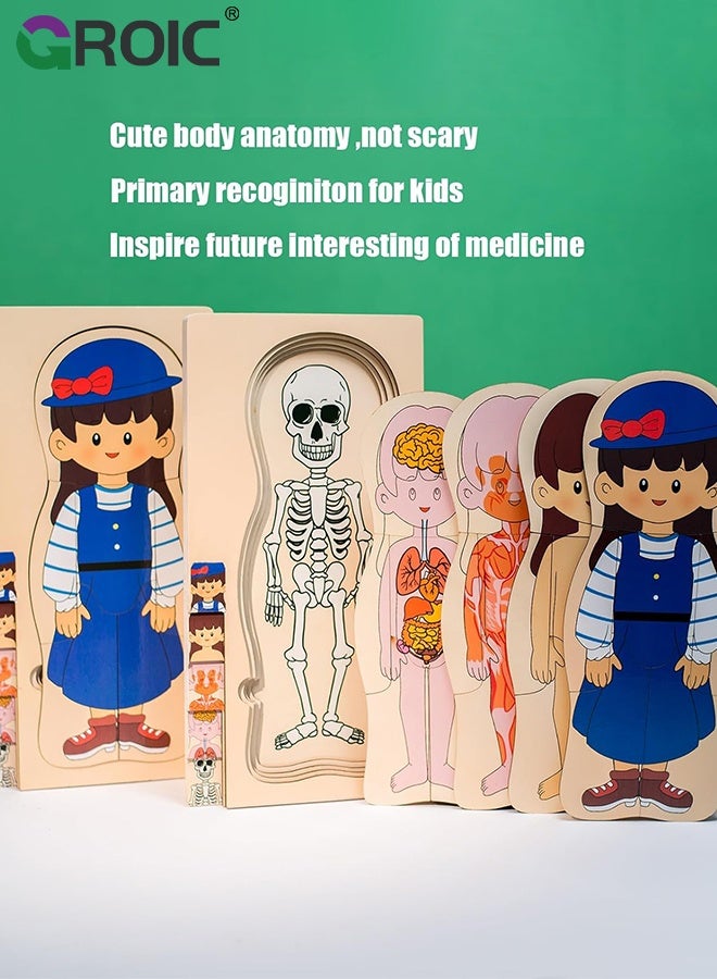 GROIC My Body Parts Puzzle for Toddlers, Kids Girls Boys Wooden Anatomy Puzzle 3-5 Years Old Preschool Learning Game Human Body Cognitive Toys, Montessori Skeleton Toy (Girls) - Image 2