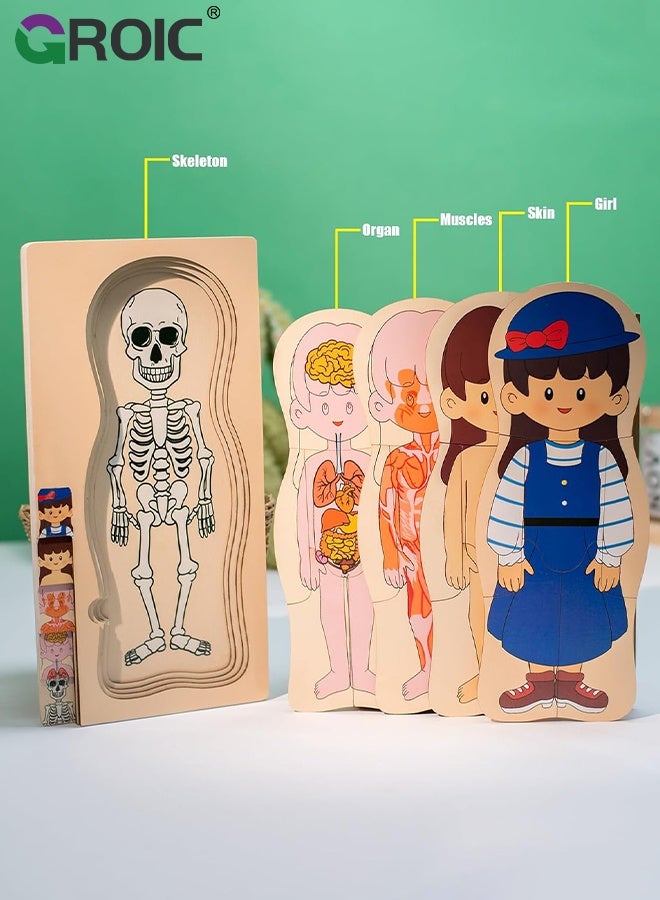 GROIC My Body Parts Puzzle for Toddlers, Kids Girls Boys Wooden Anatomy Puzzle 3-5 Years Old Preschool Learning Game Human Body Cognitive Toys, Montessori Skeleton Toy (Girls) - Image 3