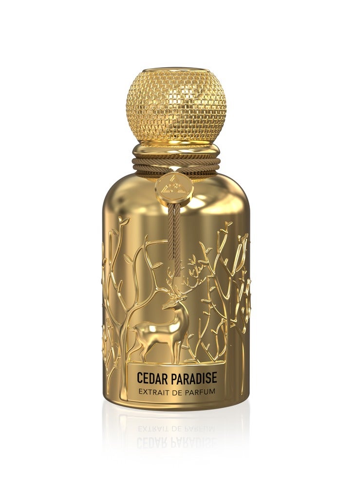 Auraa Desire Cedar Paradise Extrait de Parfum 100 ml - Image 1