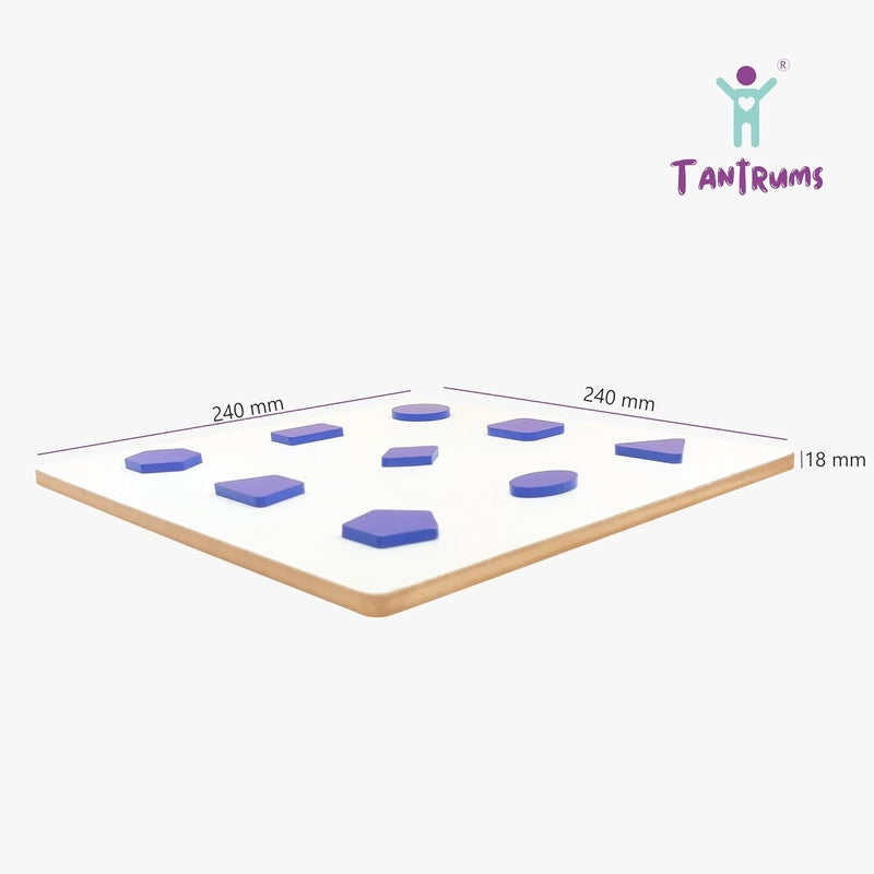 Tantrums Multicolor Educational Geo Shape Circle Puzzle Logic Game for Early Childhood Development - Image 3