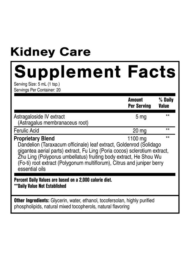 Quicksilver Scientific Kidney Care - Kidney Cleanse & Lymphatic Drainage Supplements - Astragaloside IV Extract, Zhu Ling, Goldenrod, Ferulic Acid, He Shou Wu & Dandelion Leaf (3.38oz / 100ml) - pzsku/Z9AADB203A3AD4C8BDBCFZ/45/_/1735907611/7a3ede0a-def1-4323-b1b5-8f9cf019c299