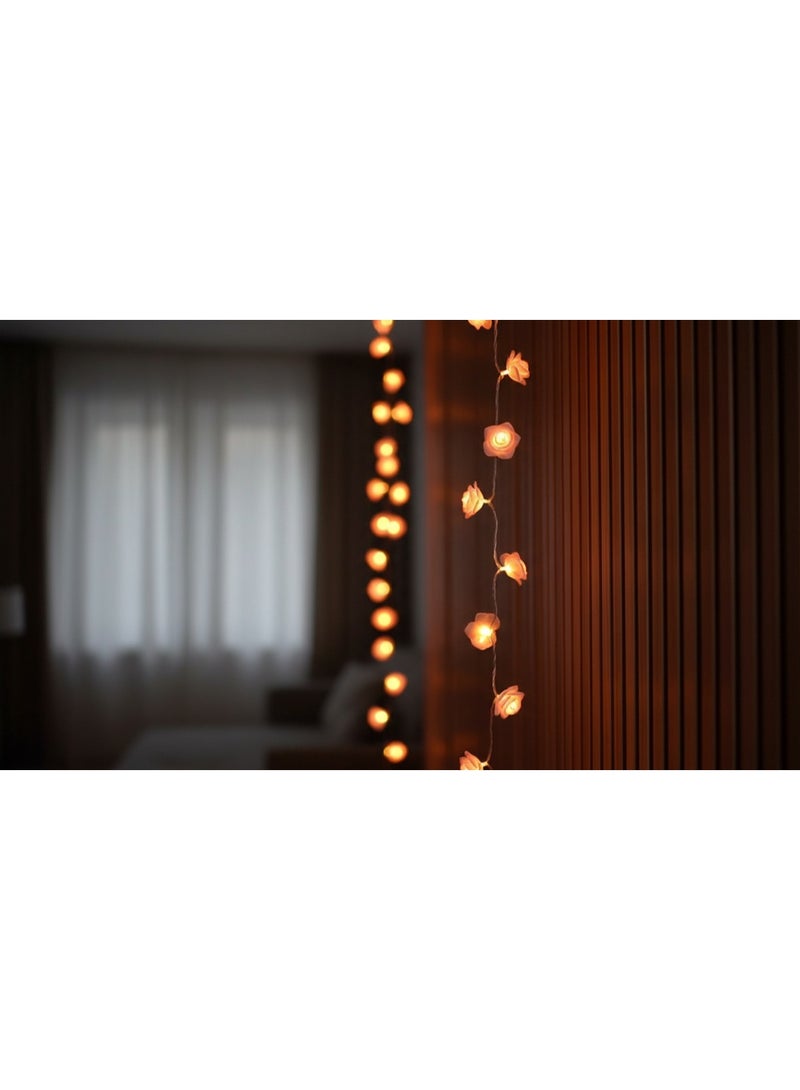 NAGAFA SHOP Pink Rose LED Garland – 20 Steady Lights with Plug and Warm Glow for Romantic Décor2M - Image 5