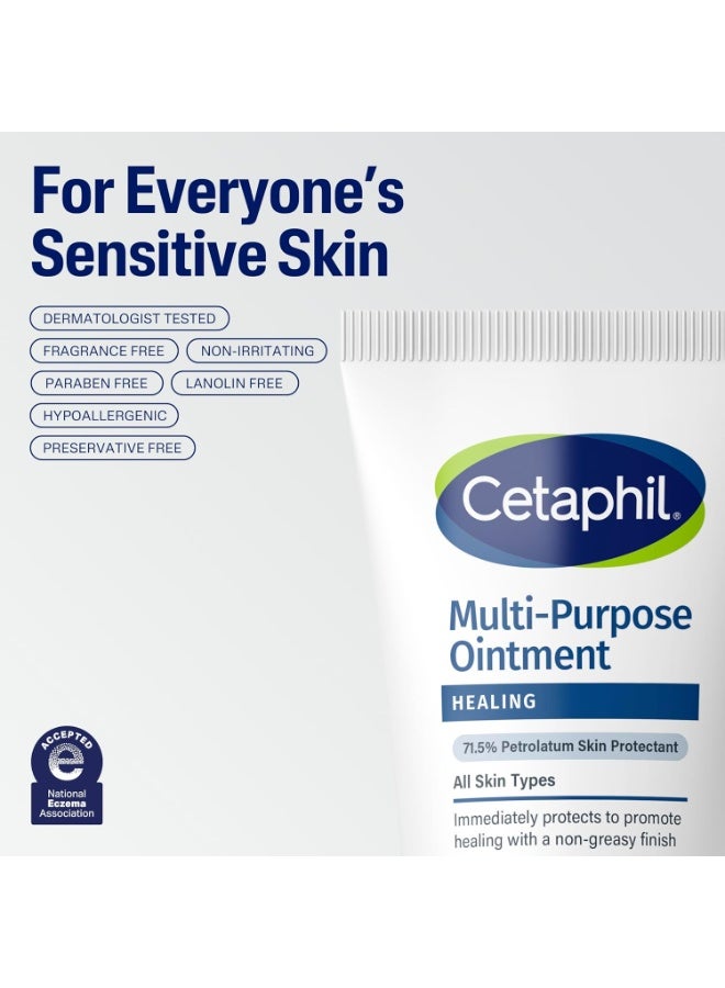 Cetaphil مرهم سيتافيل الشافي، 12 أونصة، للبشرة الجافة والمتشققة والمتهيجة، يعالج ويحمي، يهدئ اليدين المتشققتين والشفتين المتشققتين، مضاد للحساسية، خالي من العطور 12 أونصة (عبوة من 1) - Image 2