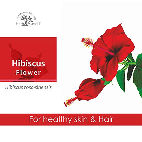 Herb Essential Hibiscus Powder 100g | Natural Herbal Powder for Hair Care, Scalp Care & DIY Face Packs | Pure Hibiscus Flower Powder - Image 2