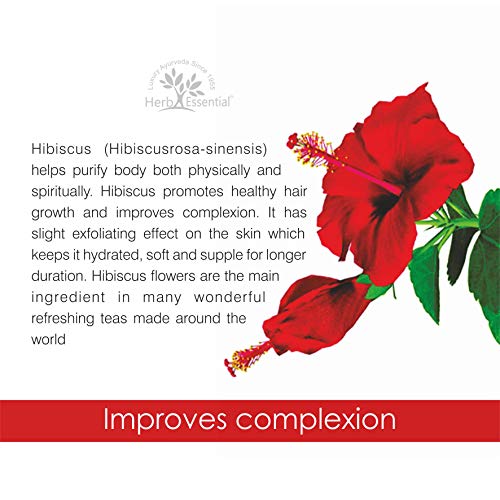 Herb Essential Hibiscus Powder 100g | Natural Herbal Powder for Hair Care, Scalp Care & DIY Face Packs | Pure Hibiscus Flower Powder - Image 3