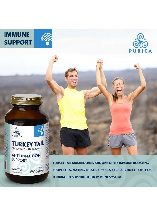 Purica 500Mg Coriolus Yunzhi Mushroom(Turkey Tail) 120 Capsules  - Image 2