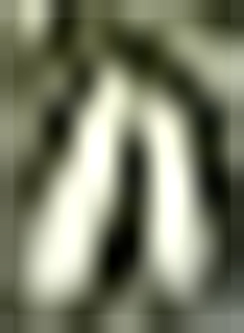 جي جوت 50Stück Zucchini Samen auffälliges Gemüse das in einem Garten im Freien gepflanzt Wird einzigartige Gartendekoration pflegeleichte Vielfalt Lange wirtschaftliche Lebensdauer - Image 3