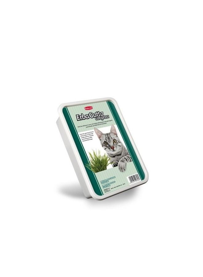 Padovan إيرباغاتو لإزالة الشعر المبتلع عشب القطط