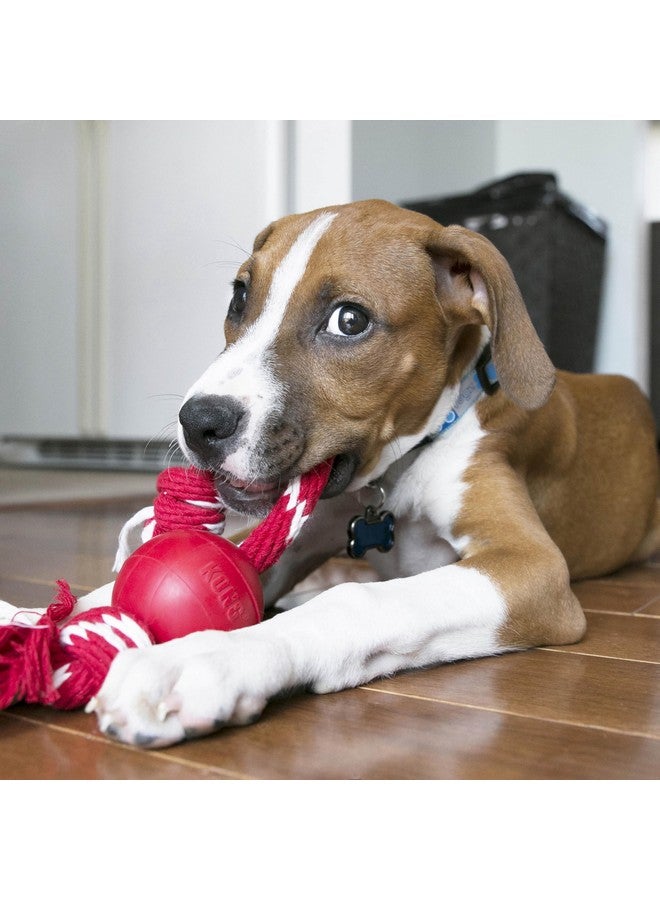 كونج كرة كونغ مع حبل - لعبة إحضار للكلاب بحبل لسهولة الرمي - لعبة كرة متينة للكلاب للشد واللعب والمزيد - لعبة كرة حبل مطاطية طبيعية للكلاب - حمراء، للكلاب الصغيرة - Image 3