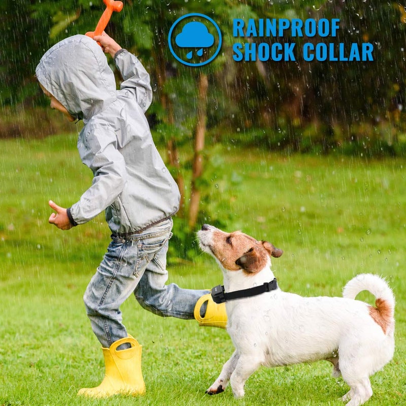 Petrainer PET998DRB1 Dog Training Collar Rechargeable and Rainproof 330 yd Remote Dog Training Collar with Beep, Vibra and Static Electronic Collar - Image 4