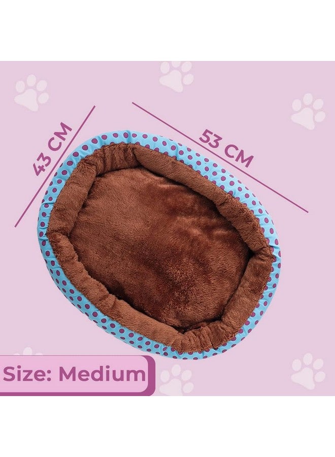 Hearts Dog & Cat Bed|Soft Plush Top Pet Bed|Oxford Cloth With High-Quality Polyester Filling|Medium Washable Dog Bed|Circular Cat Bed With Rise-Edge Pillow|Qy039Bc-M|Blue & Coffee - Image 2