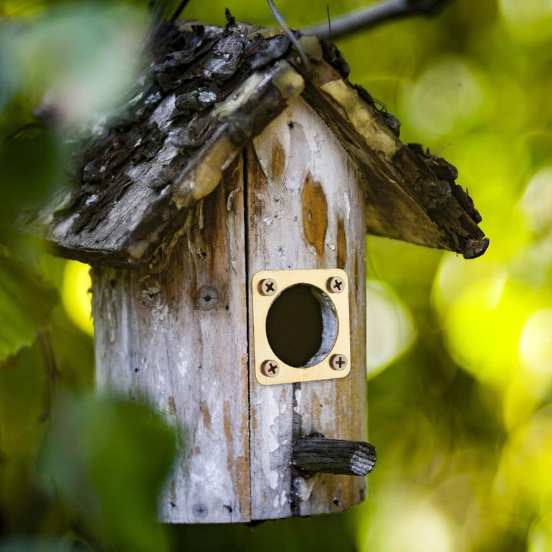 Ripeng Metal Bird House Guard with Copper Portal for Eastern Bluebird Houses 1 1/2 Inch Opening (2 Pieces) - Image 5