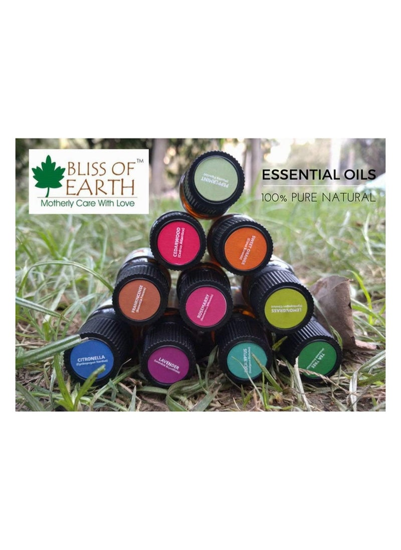 BLISS OF EARTH 100% Pure Eucalyptus Essential Oil, 10ml Pack of 2  - Image 2