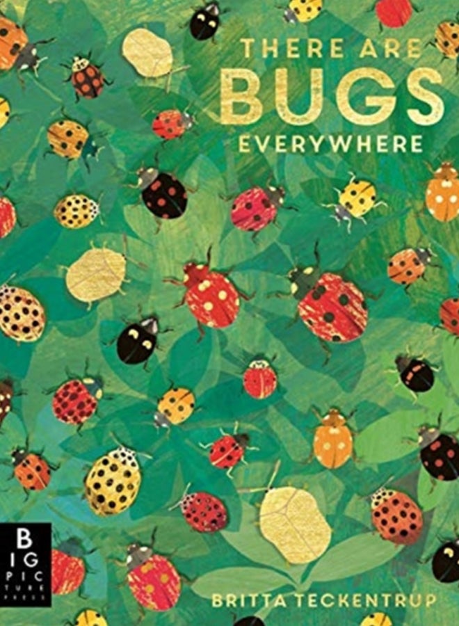 There are Bugs Everywhere