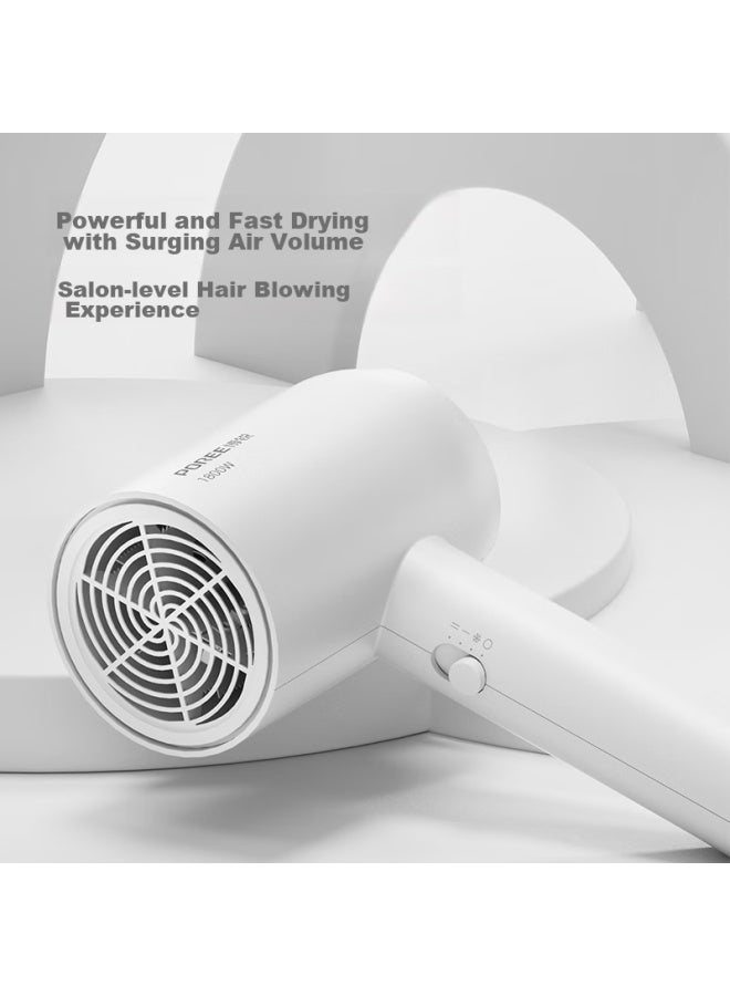 FLYCO Feike Borui Hair Dryer, High-power For Home Use, Constant Temperature Hair Protection, Compact And Portable, Three-speed Cold And Hot Air, Electric Hair Dryer, Jianbai Ph1621 - Image 1