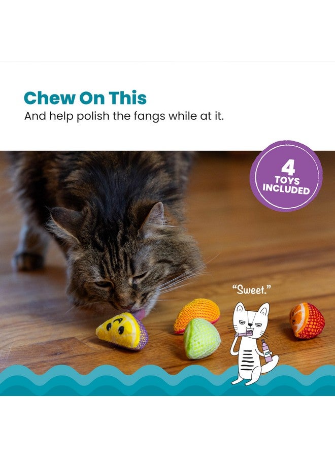 مراحل القطط كات ستيجز، قطع فواكه الأسنان، عبوة من 4 قطع، ألعاب مضغ ناعمة وملمسها ناعم بنكهة النعناع البري تساعد على تنظيف الأسنان، متعددة الألوان - Image 2