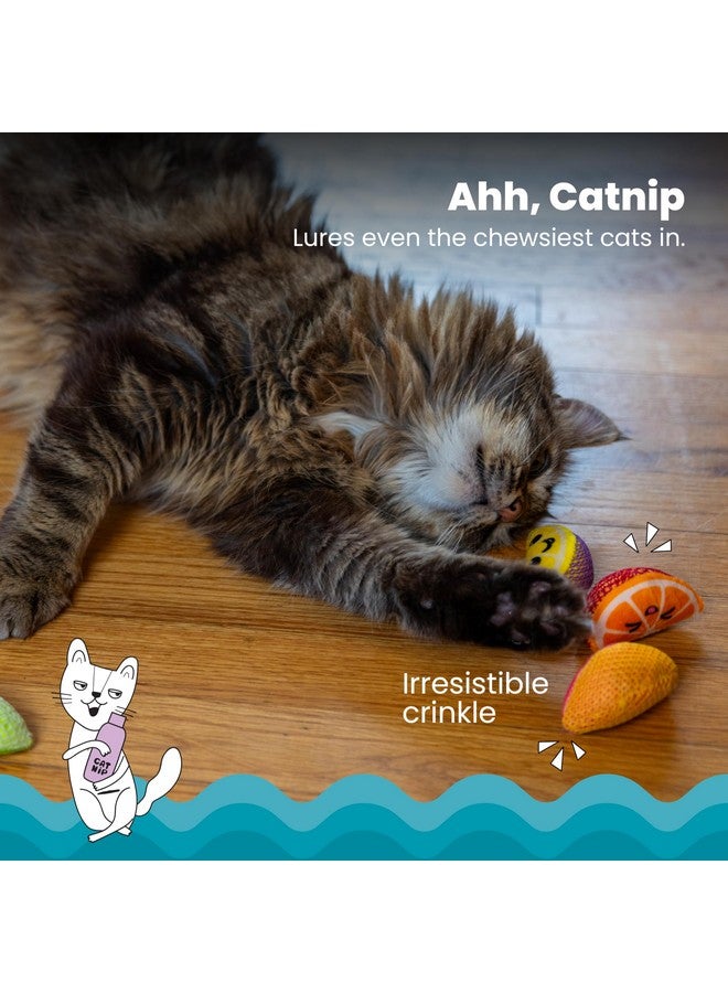 مراحل القطط كات ستيجز، قطع فواكه الأسنان، عبوة من 4 قطع، ألعاب مضغ ناعمة وملمسها ناعم بنكهة النعناع البري تساعد على تنظيف الأسنان، متعددة الألوان - Image 3