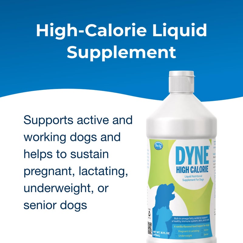 Dyne PetAg Dyne High Calorie Liquid Nutritional Supplement for Dogs & Puppies 8 Weeks and Older - 16 oz - Supports Performance and Endurance - Sweet Vanilla Flavor - Image 3