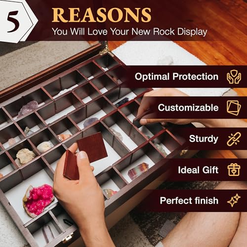 SmartyRocks Adjustable Rock Display Case - Rock Collection Box with Fabric Bed for Mineral Display - Dark-Finish Shadow Box with Shelves for Crystal Storage - Display Cases for Collectibles (Large) - Image 4