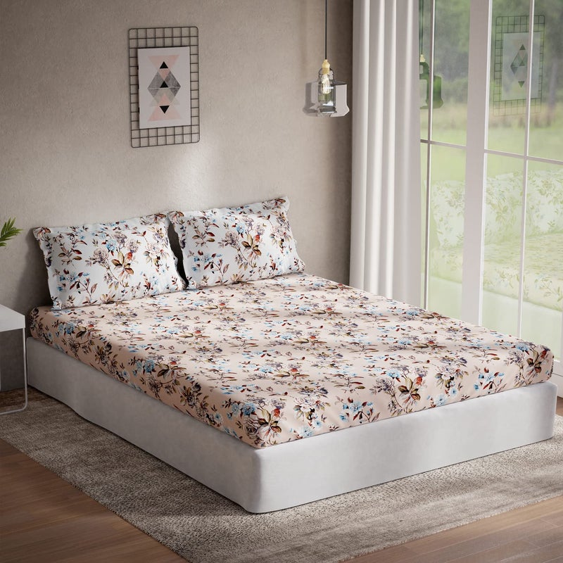 DDECOR Live beautiful DDECOR Festia 100 Cotton Double Bedsheet with 2 Pillow Covers Peach 