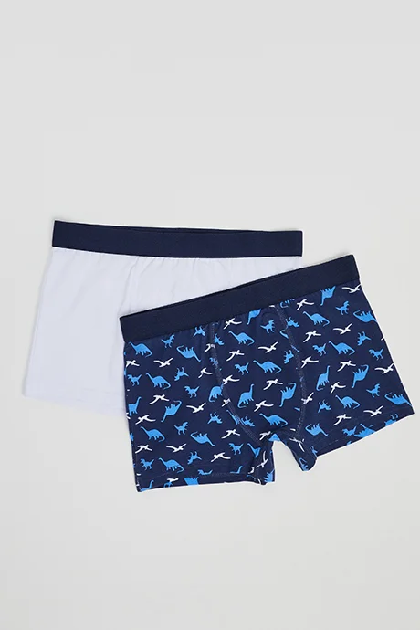 أر أند بي 2 Pack Printed Boxers