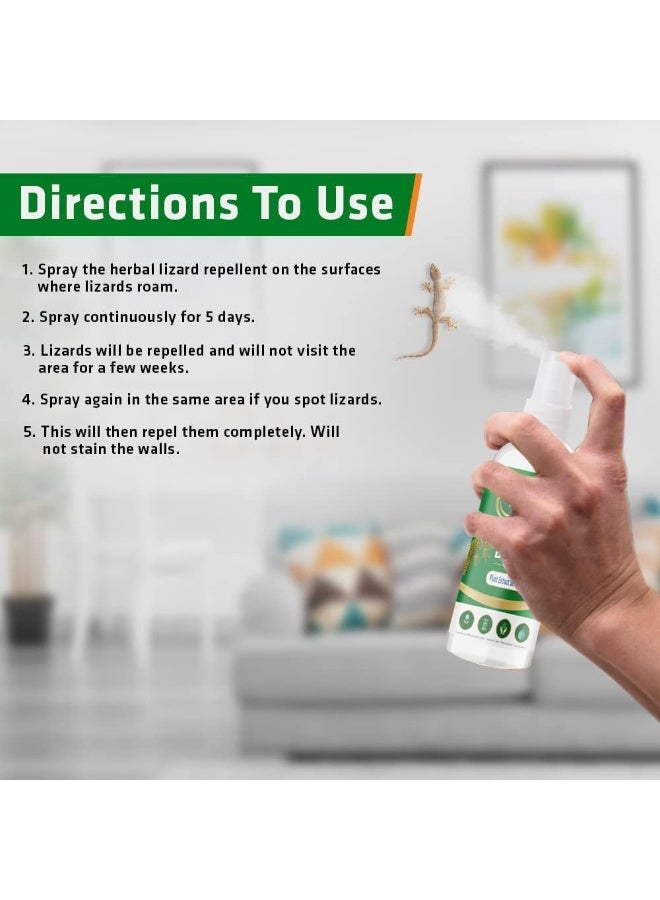 جيكو بخاخ جيكو الطبيعي لطرد السحالي، قطعتان - تركيبة نباتية للاستخدام الداخلي والخارجي - طارد فعال للسحالي والزواحف في المنزل والحديقة... - Image 3
