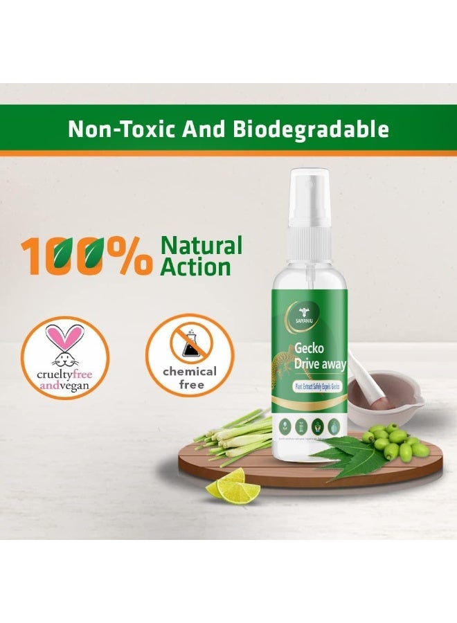 جيكو بخاخ جيكو الطبيعي لطرد السحالي، قطعتان - تركيبة نباتية للاستخدام الداخلي والخارجي - طارد فعال للسحالي والزواحف في المنزل والحديقة... - Image 2
