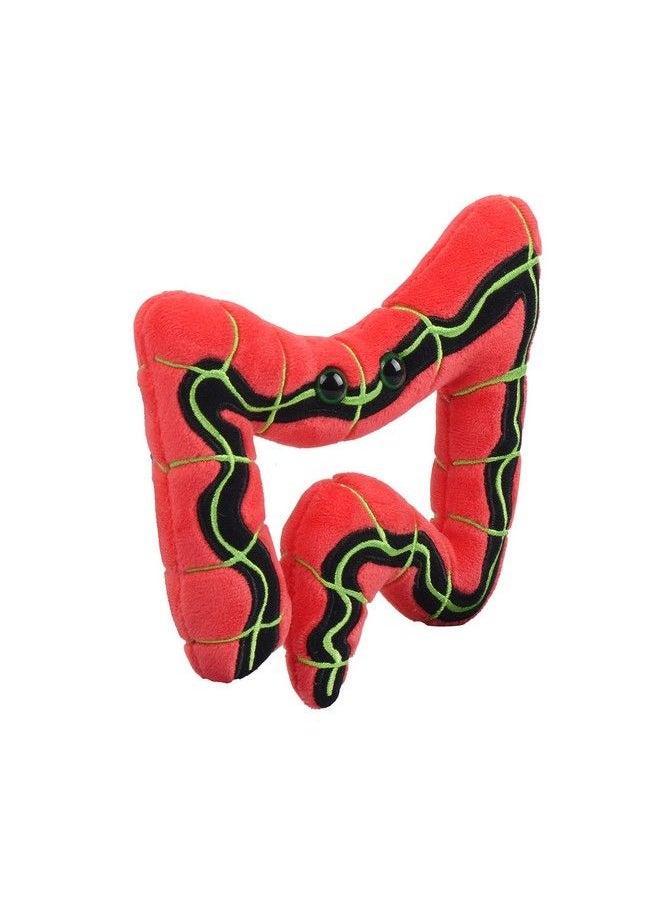 Giant Microbes Giantmicrobes Irritable Bowel Syndrome Plush Learn About Digestive Health With This Colon Shaped Gift For Family Friends Doctors Gi Specialists Dieticians Scientists Educators And Patients.  - Image 4