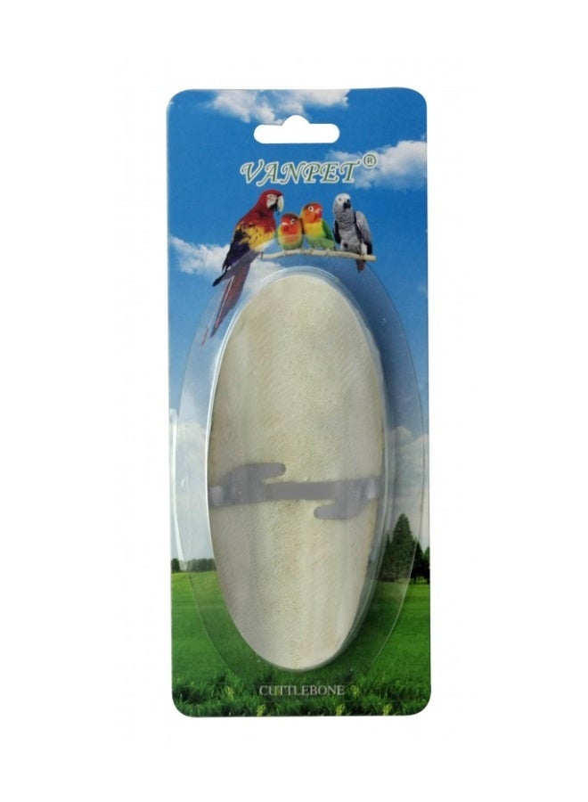 عظمة حبار - 15 × 6 سم