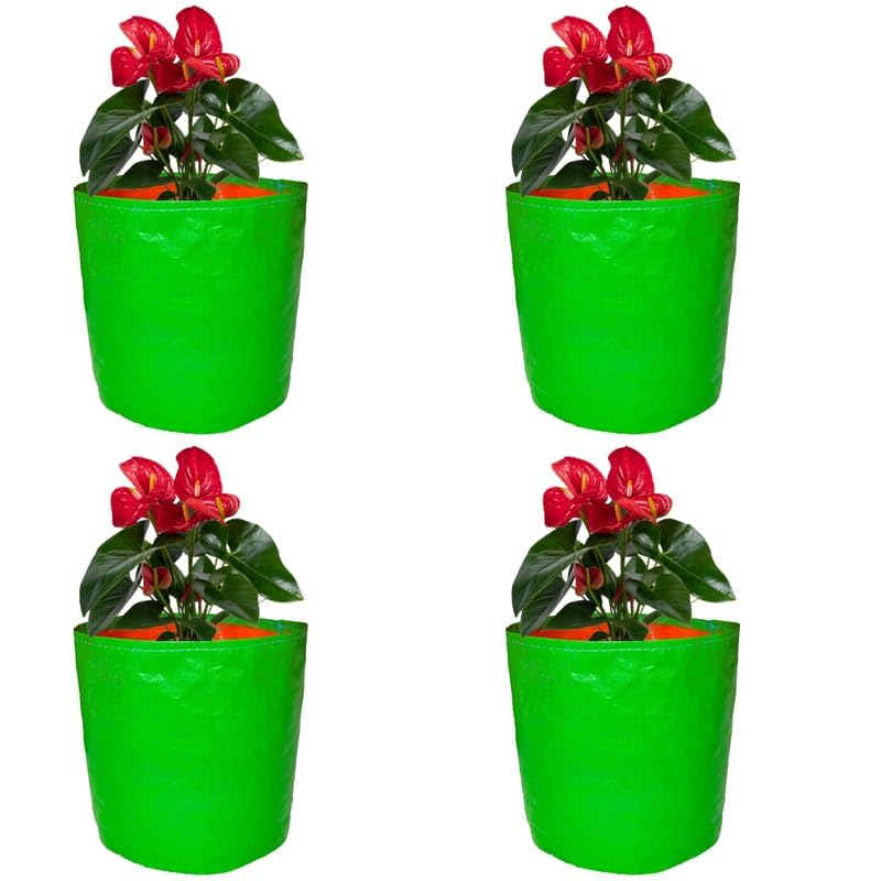 GroWonder Plant Bags for Home Garden, Pack of 4, 9X9 inches, Terrace Gardening Bag, Planting Pots, Green Growing Containers - Image 2