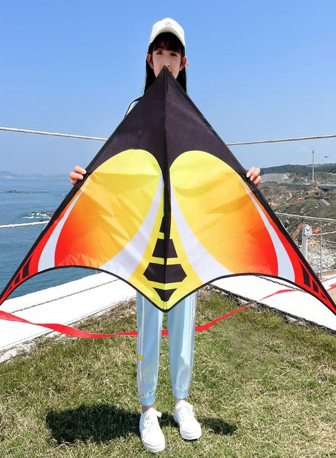 Honbo Rainbow Delta Kites for Kids and Adults- Easy Flyer - Kit Line and Swivel Included- Good for Outdoor Games and Summer The Beach Toys for Kids - Image 3