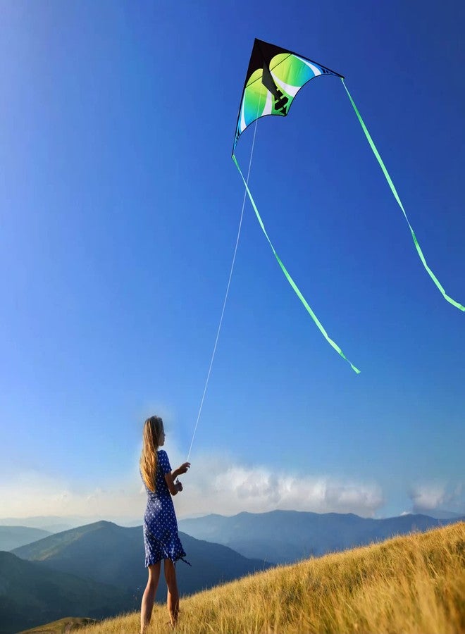 Honbo Rainbow Delta Kites for Kids and Adults- Easy Flyer - Kit Line and Swivel Included- Good for Outdoor Games and Summer The Beach Toys for Kids - Image 4