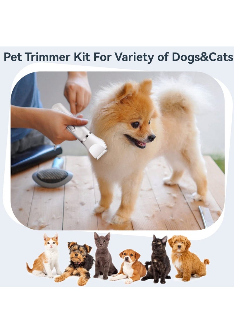 Electric Pet Trimmer Clippers, 4 in 1 Dog Grooming Kit, Cordless Low-Noise Rechargeable Kits with LED Display, Multifunctional Trimmers for Hair, Face and Paws