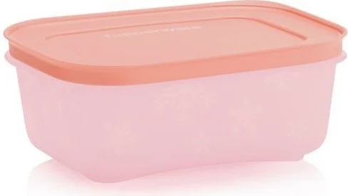 توبروير Alaska 450 ml Deep Freezer and Refrigerator Storage Container Set of 4