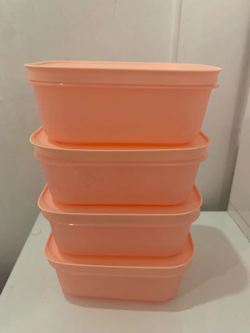 توبروير Alaska 450 ml Deep Freezer and Refrigerator Storage Container Set of 4