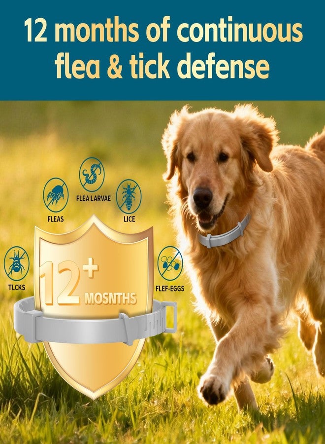 VivaElixir Flea Collars for Dogs, Dog Flea & Tick Control Flea Collar 12 Months Protection, Waterproof Dog Flea Collar, Flea Prevention for Dogs with Comb and Prevention Treatment Drop, 2Pack - Image 2