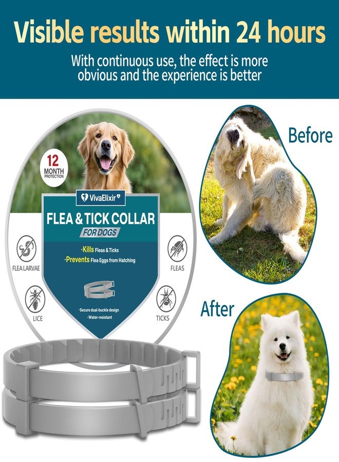 VivaElixir Flea Collars for Dogs, Dog Flea & Tick Control Flea Collar 12 Months Protection, Waterproof Dog Flea Collar, Flea Prevention for Dogs with Comb and Prevention Treatment Drop, 2Pack - Image 3