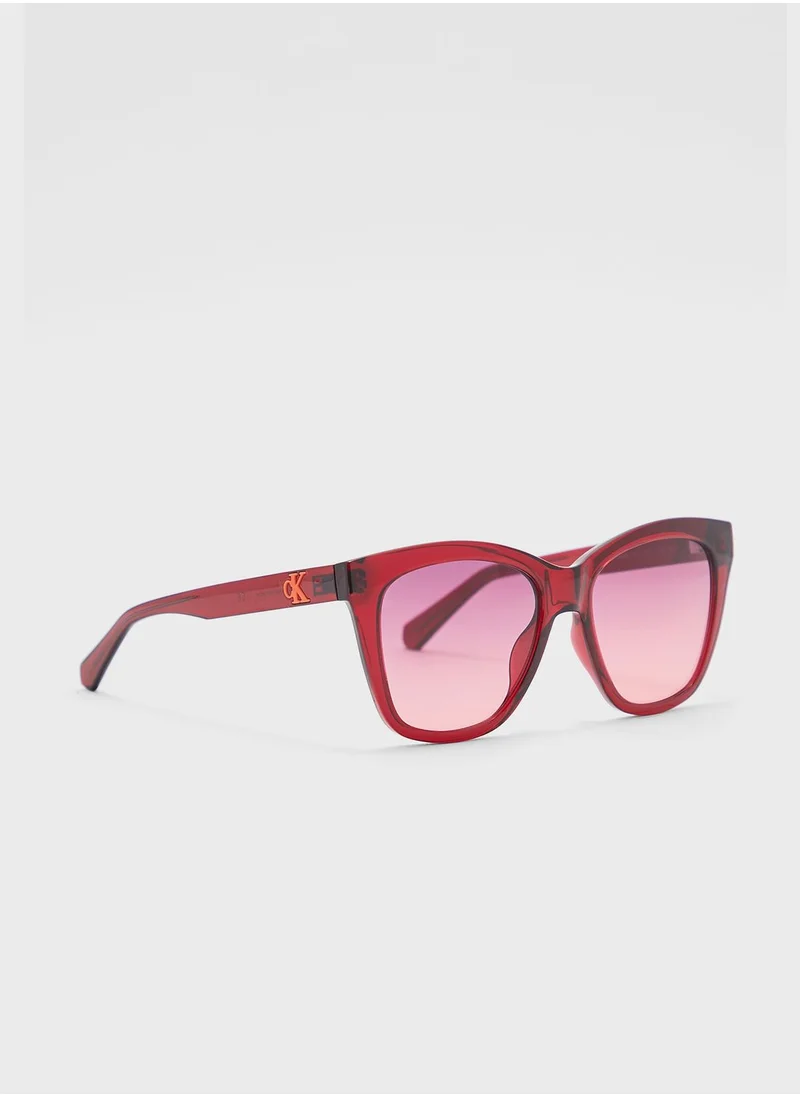 Calvin Klein Jeans Square Shape Sunglasses