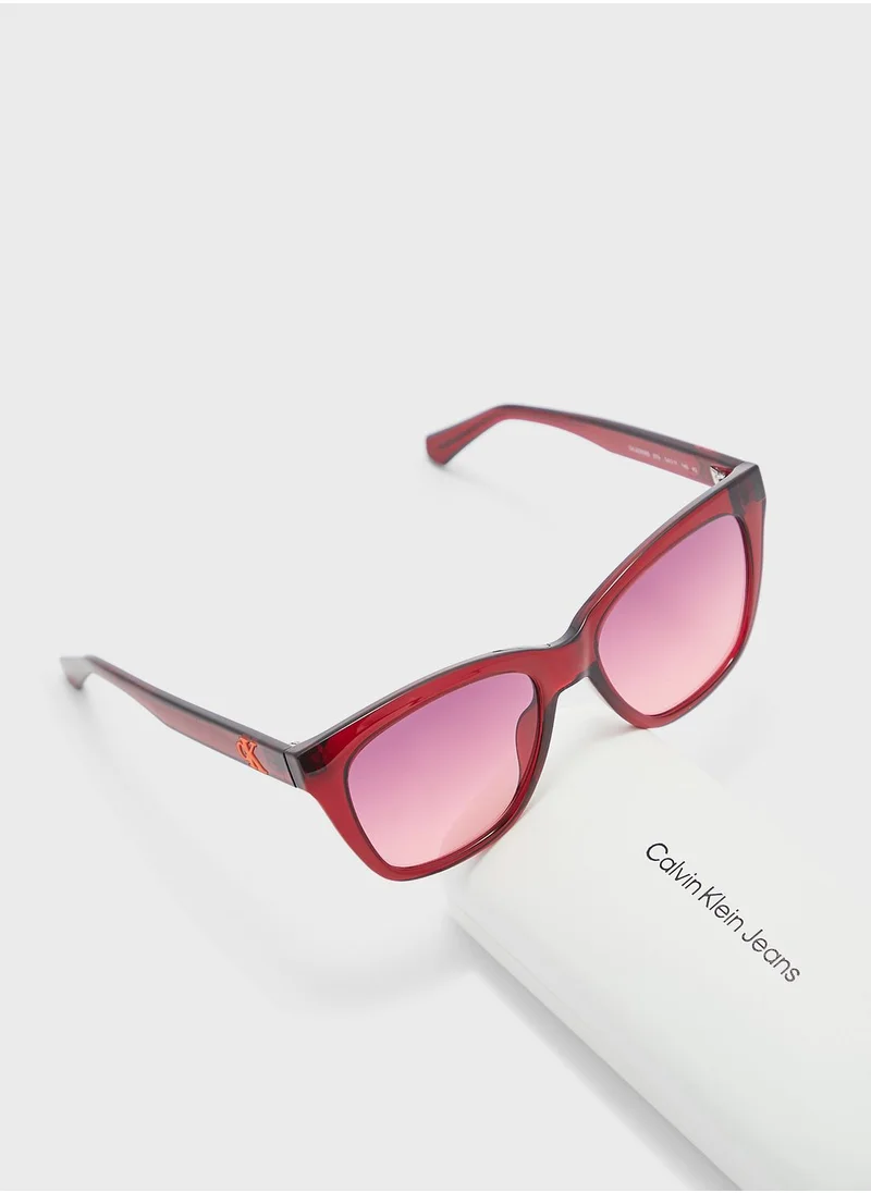 Calvin Klein Jeans Square Shape Sunglasses