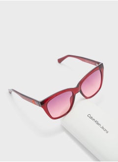 Calvin Klein Jeans Square Shape Sunglasses  - Image 4