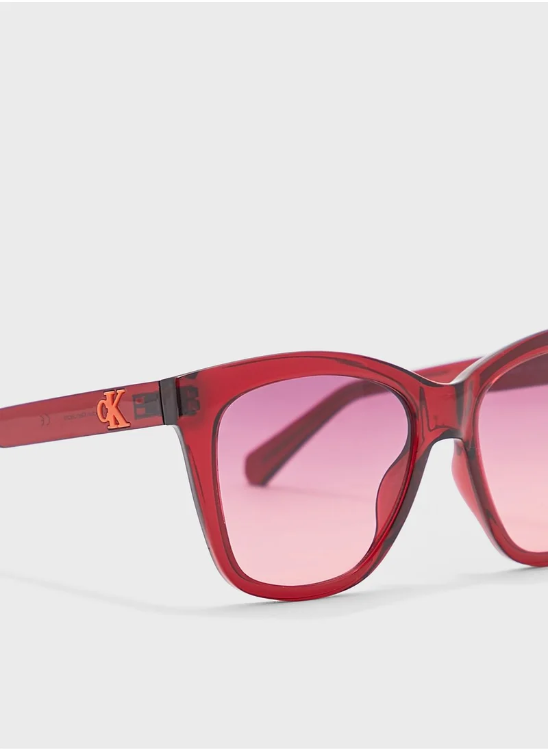 Calvin Klein Jeans Square Shape Sunglasses
