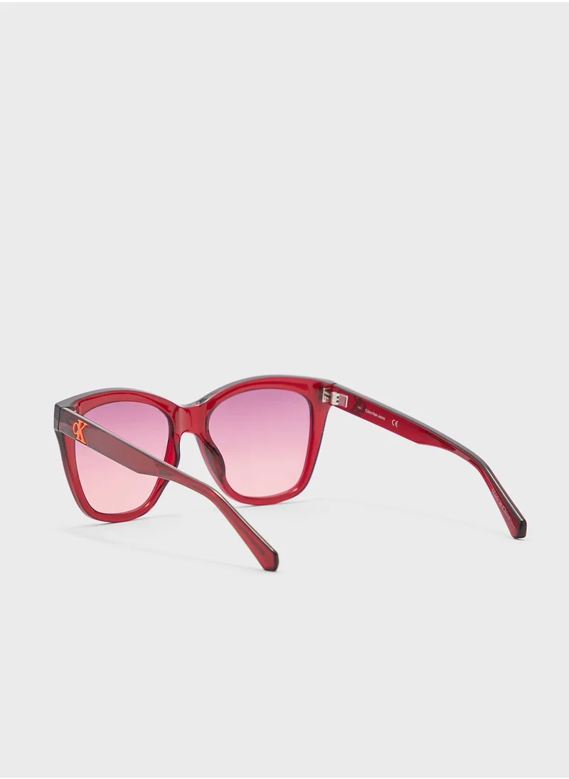 Calvin Klein Jeans Square Shape Sunglasses