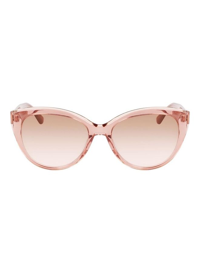 CALVIN KLEIN Women Full Rim Acetate Cat Eye Sunglasses CK22520S 5717 (601) Rose - Image 1