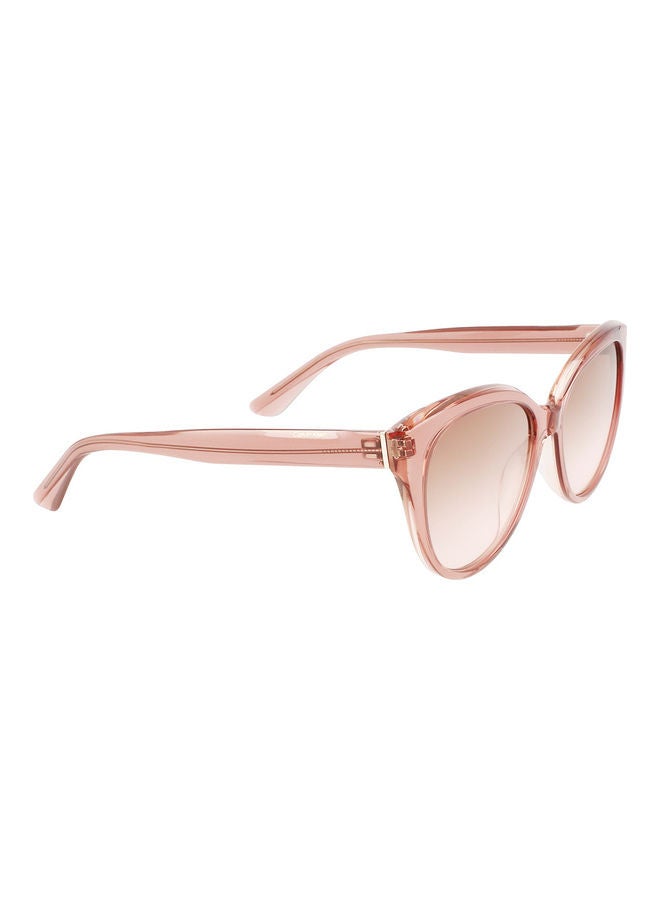 CALVIN KLEIN Women Full Rim Acetate Cat Eye Sunglasses CK22520S 5717 (601) Rose - Image 3