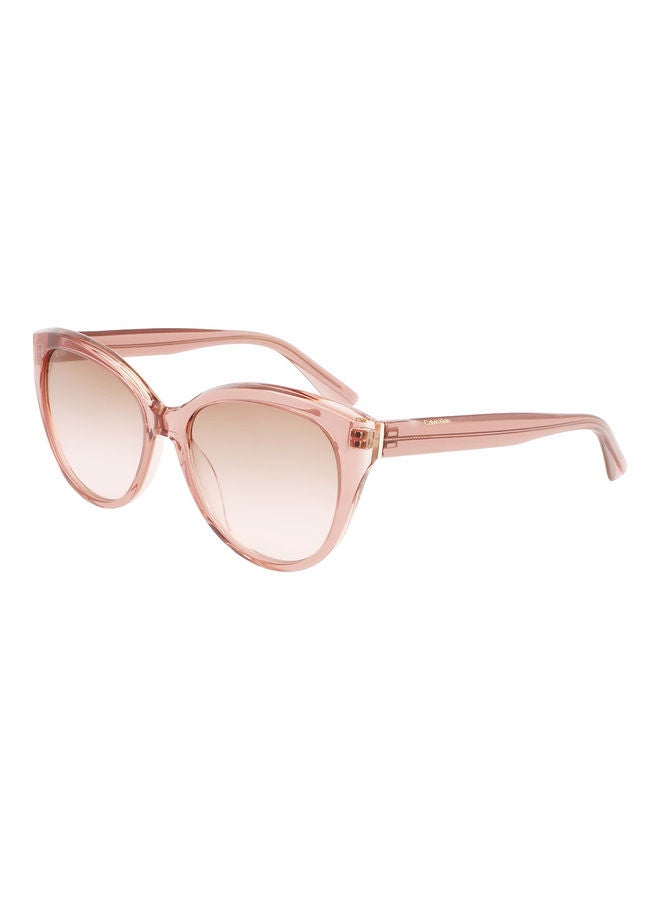 CALVIN KLEIN Women Full Rim Acetate Cat Eye Sunglasses CK22520S 5717 (601) Rose - Image 2