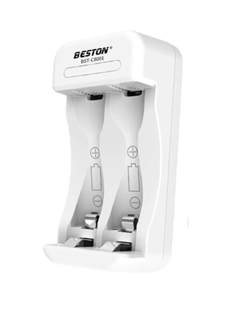Beston C8001 Charger - Image 1