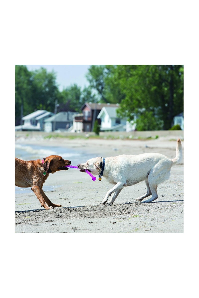 كونج كونغ - سيف ستيكس - لعبة إحضار قوية ومرنة للكلاب مصنوعة من مواد آمنة ومتينة (ألوان متنوعة) - للكلاب الصغيرة - Image 2