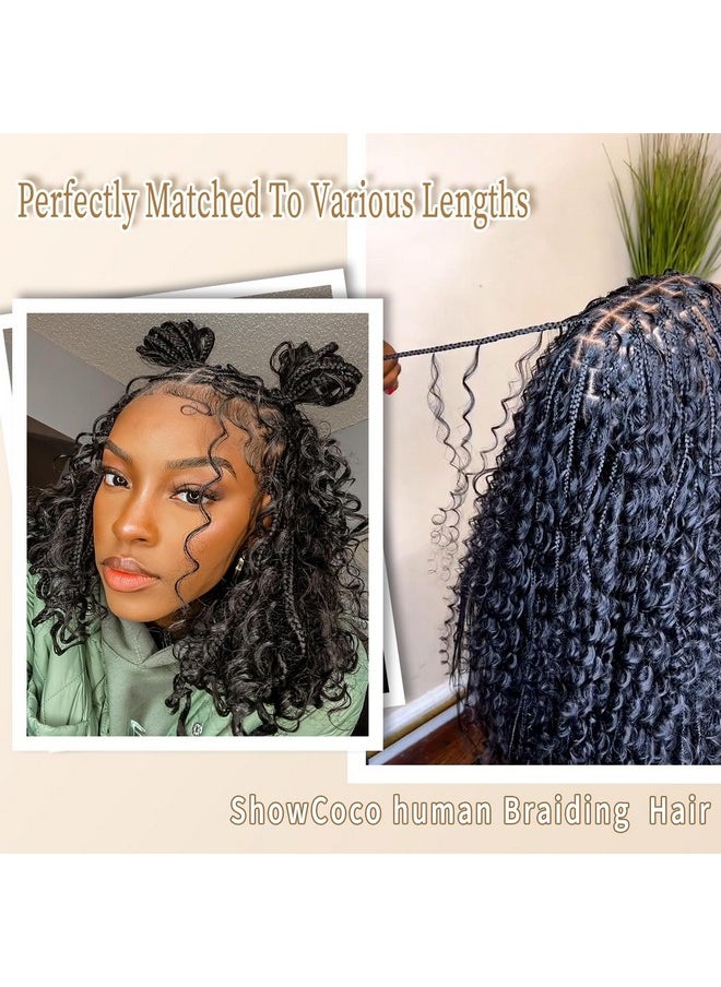 ShowCoco 16 Inch Human Braiding Hair 100G No Weft Water Wave Bulk Human Hair For Braiding Hair Extensions For Box Boho Braids With 2Bundles  - Image 5