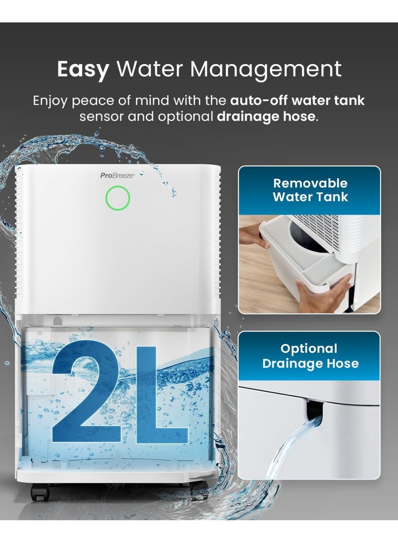 Pro Breeze 12L/Day Dehumidifier with Automatic Humidity Sensor & Display, 24 Hour Timer, Laundry Drying, Continuous Drainage and Sleep Mode for Damp, Mould and Condensation  - Image 3